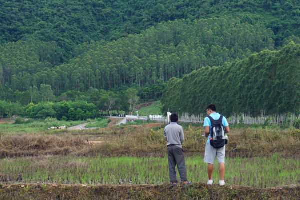 深入琼岛大地 让网络改变农村